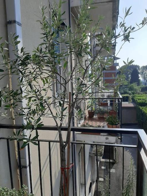 דירות קומו Mice Ottima Soluzione Per Il Centro E La Svizzera מראה חיצוני תמונה